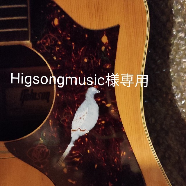 Higsongmusic様専用トムソンTGF -351アコースティックギター 楽器のギター(アコースティックギター)の商品写真