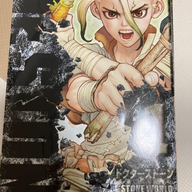 Ｄｒ．ＳＴＯＮＥ １