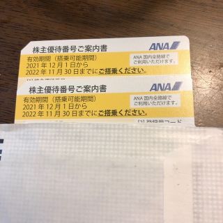 エーエヌエー(ゼンニッポンクウユ)(ANA(全日本空輸))のANA株主優待券　2枚(ショッピング)