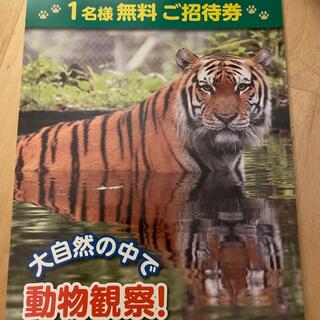 富士サファリパーク 1名無料券(動物園)