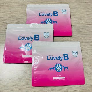 ラブリービー   Lovely B   3袋セット   犬　猫　ペット用歯磨き粉(犬)