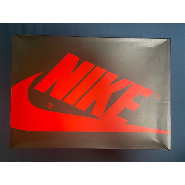 29cm Nike Air Jordan 1 Low OG CZ0790-104
