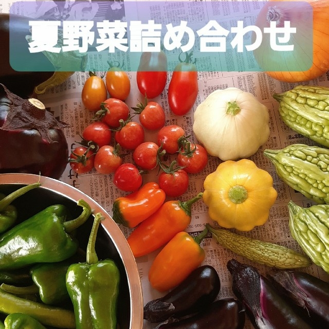 ☆夏野菜詰め合わせ☆ 朝採り お野菜セット ゆうパック 70~80サイズ 食品/飲料/酒の食品(野菜)の商品写真