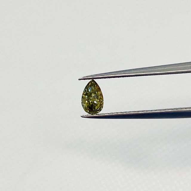 カメレオン!FANCY DARK GRAY YELLOWISH GREEN - その他