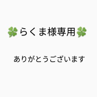 アデリア氷河　5枚(食器)