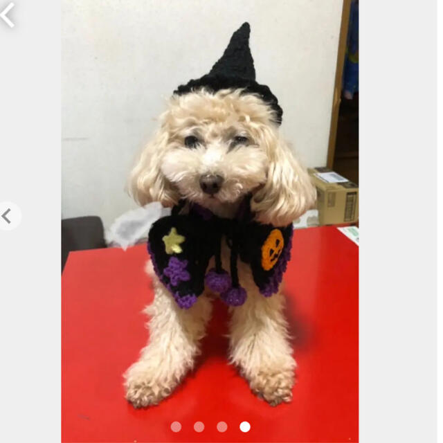 ☆犬猫用ハロウィン ミニマントSサイズ1枚と魔女帽子1つのセットの通販 by さんちゃん｜ラクマ