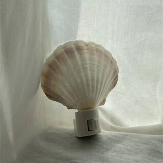 Francfranc - 貝殻　シェル　ランプ