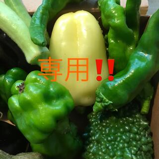 mikan様専用‼️♪彩り野菜セット♪(野菜)