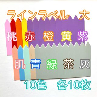 ◎ 100枚 ◎ 10色 (大) ラインラベル 園芸ラベル カラーラベル (プランター)