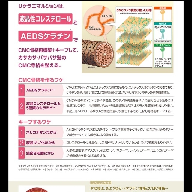 リケラエマルジョン1000g(パウチ品) - トリートメント