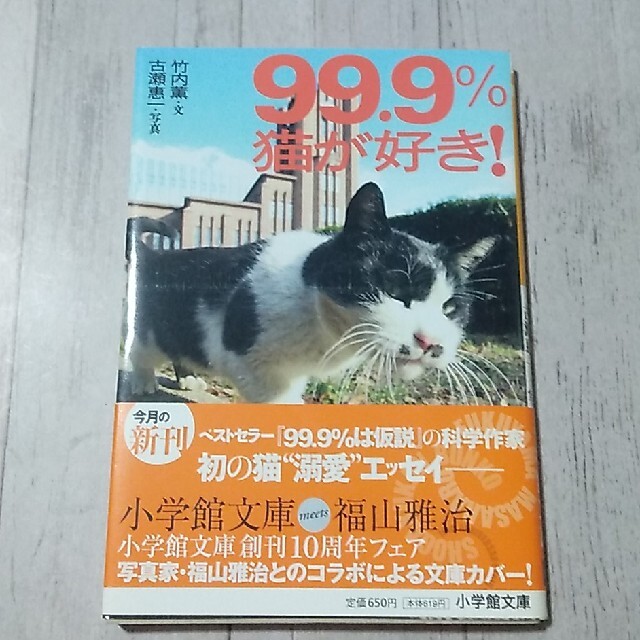 ９９．９％猫が好き エンタメ/ホビーの本(その他)の商品写真