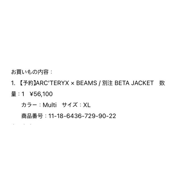 ARC’TERYX × BEAMS BETA JACKET 別注 XLサイズ