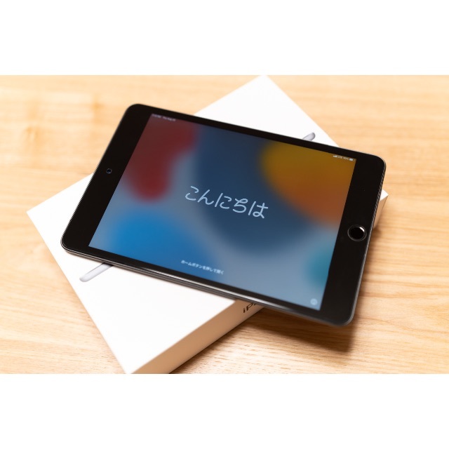 ☆極美品 iPad mini 5世代 Cellular SIMフリー 64GB | capacitasalud.com