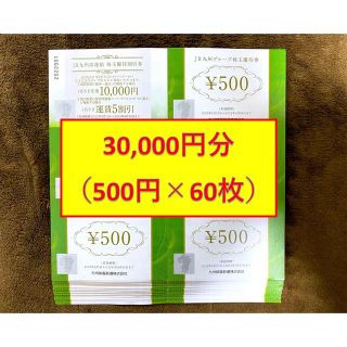 ジェイアール(JR)のJR九州グループ株主優待券 500円 60枚 30,000円(ショッピング)