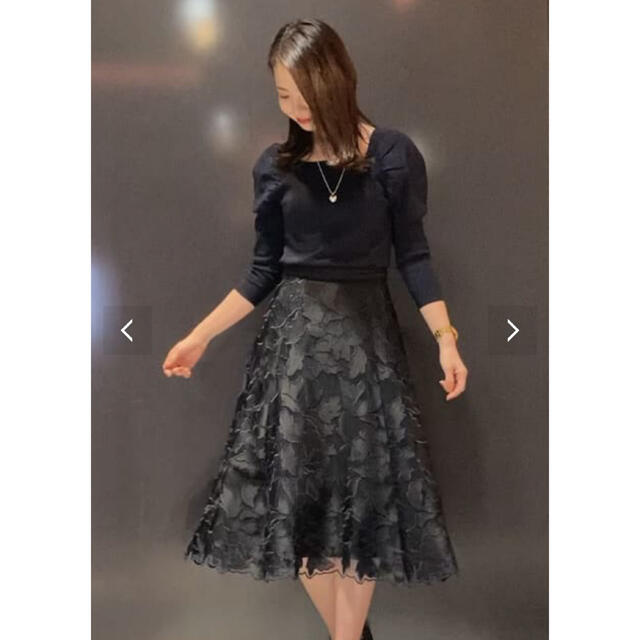 ANAYI(アナイ)のANAYI 2022年製【新品未使用】希少✨リーフチュールレーススカート34 レディースのスカート(ロングスカート)の商品写真