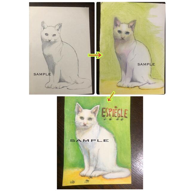 手描きイラスト　猫 エンタメ/ホビーの美術品/アンティーク(絵画/タペストリー)の商品写真