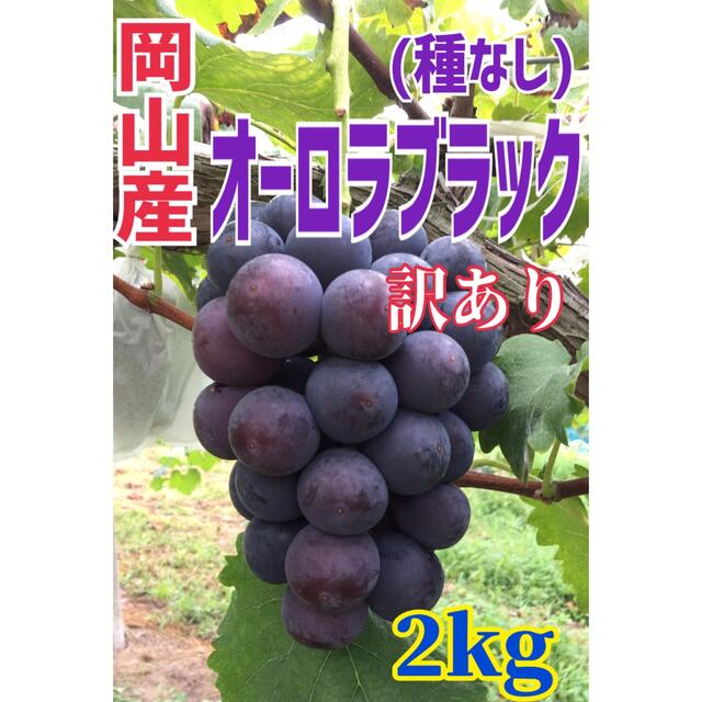 数量限定(訳あり)岡山産オーロラブラック2kg箱 食品/飲料/酒の食品(フルーツ)の商品写真