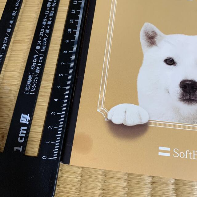 Softbank(ソフトバンク)のお父さん　ふてにゃん　ノート　ソフトバンク　ワイモバイル　ノベルティグッズ　 エンタメ/ホビーのコレクション(ノベルティグッズ)の商品写真