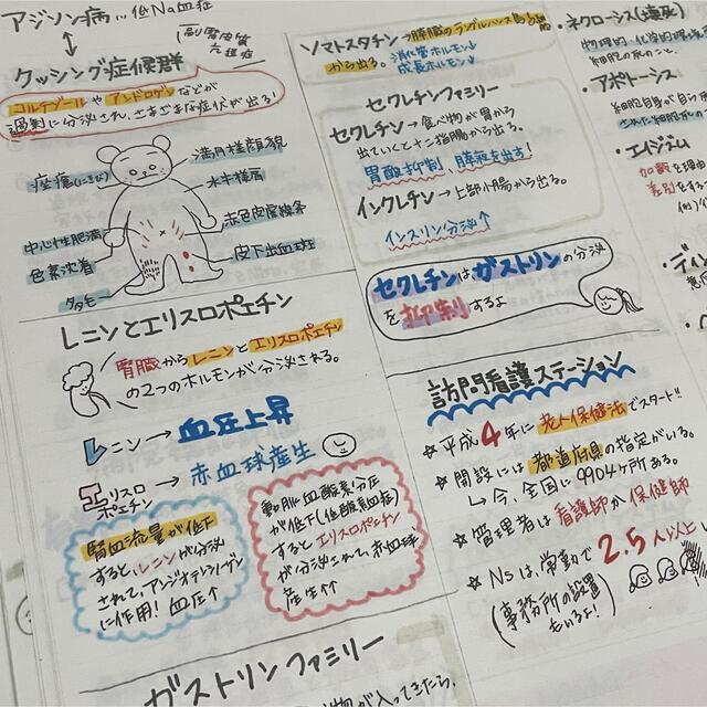 【Rin♡様専用】絶対合格ノート+暗記カード【看護師国家試験】【看護学生】