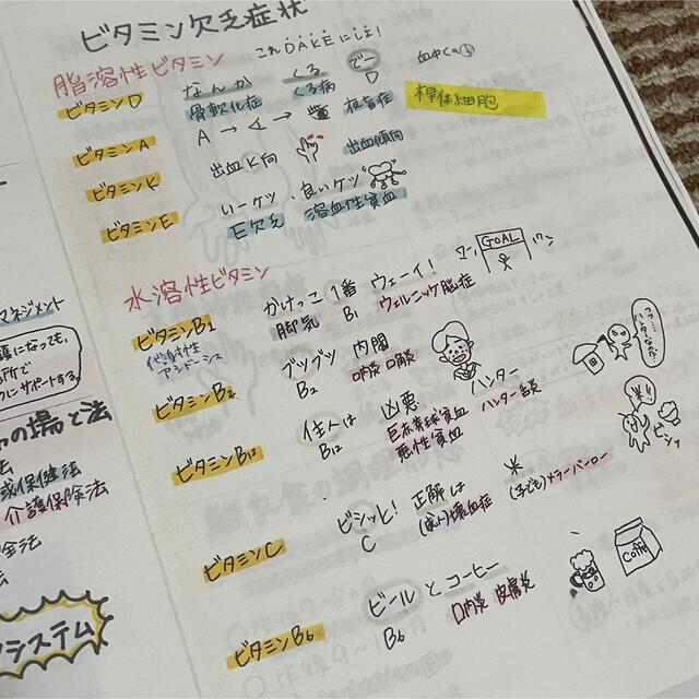 【Rin♡様専用】絶対合格ノート+暗記カード【看護師国家試験】【看護学生】