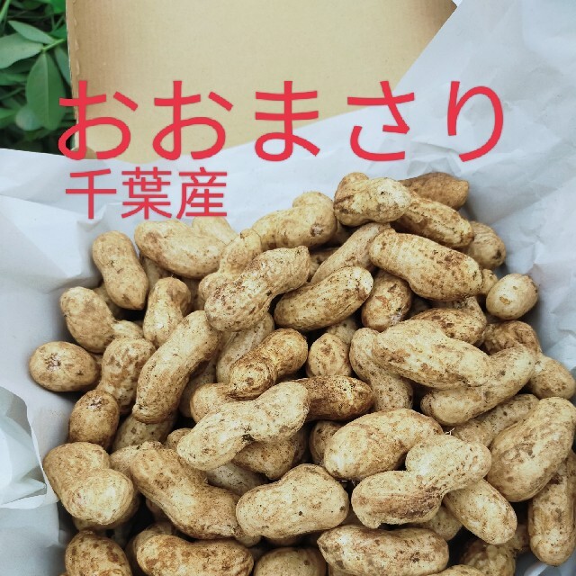 農家直送千葉県産落花生4kg - 通販 - hanackenovinky.cz