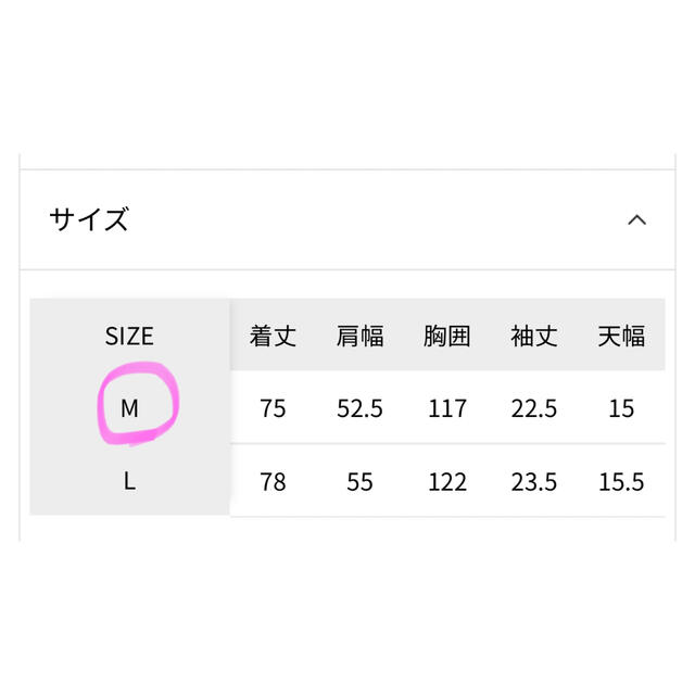 ☆新品☆ALAND/ISTKUNST TシャツM 4700→4500 5
