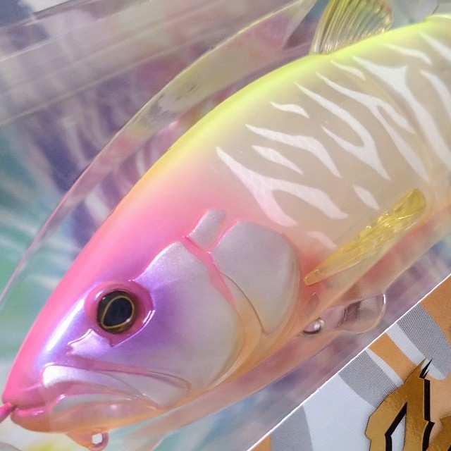 海外 ダウズスイマーエイト240 SF マルハタゴーストチャート fawe.org