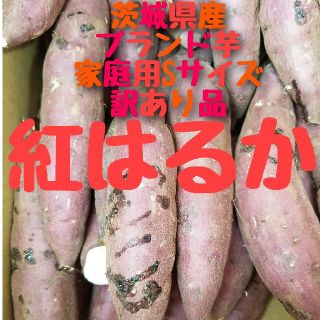 7キロ令和4年度産新物初物サツマイモ紅はるかご家庭用Sサイズ&訳あり品.(野菜)