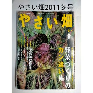 やさい畑 2011年 冬号 同梱値引きあり(専門誌)