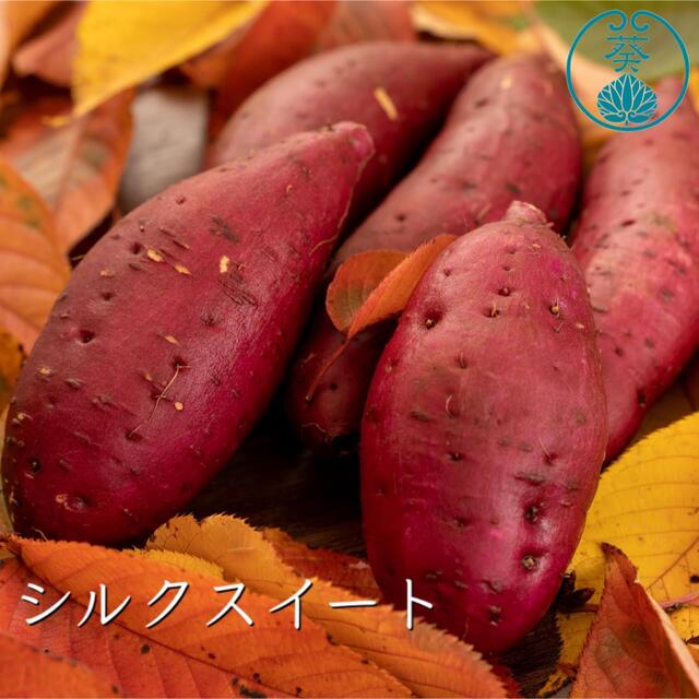 さつまいも【紅はるか×安納芋×シルクスイート】食べくらべ10kg 食品/飲料/酒の食品(野菜)の商品写真