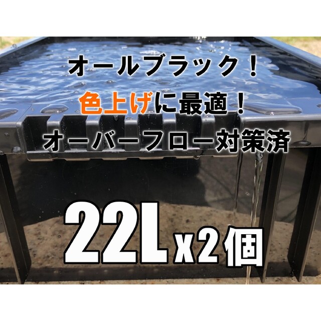 台風も夕立も秋雨も安心！オーバーフロー対策済み飼育容器NV-BOX22L 2個