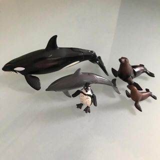 タカラトミー(Takara Tomy)のアニア　海の生き物セット(その他)