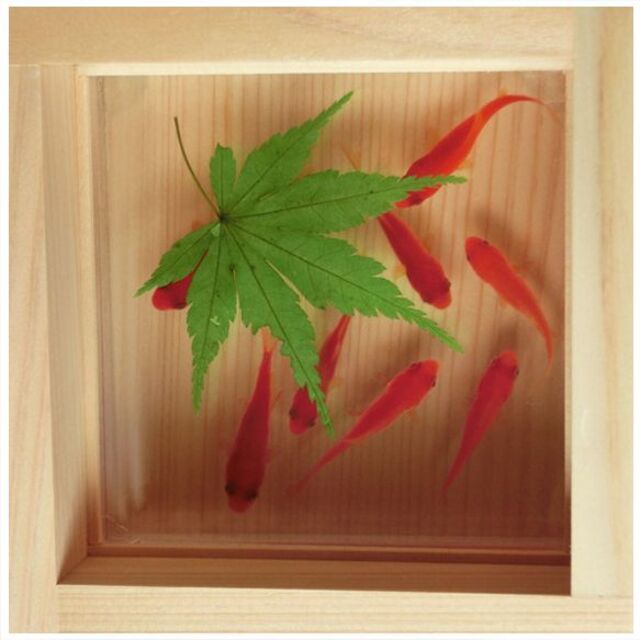 ハンドメイド金魚アート 咲 紅葉 緑 純日本製  プレゼント ギフト 敬老の日