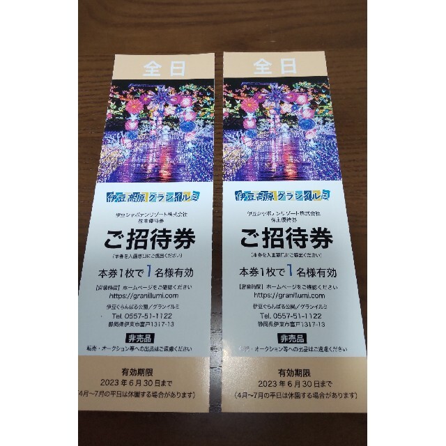 伊豆高原グランイルミご招待券（全日）2名様分 チケットの施設利用券(遊園地/テーマパーク)の商品写真