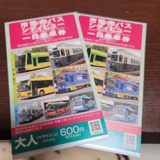 鹿児島市１日乗車券二枚セット(鉄道乗車券)