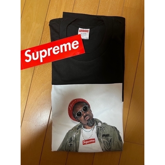 SUPREME シュプリーム 22AW Andre 3000 S/S TEE アンドレプリント クルーネック半袖Tシャツ ストーン