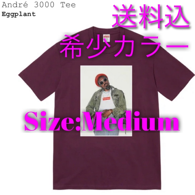 希少 Supreme/André 3000 Tee  Eggplant