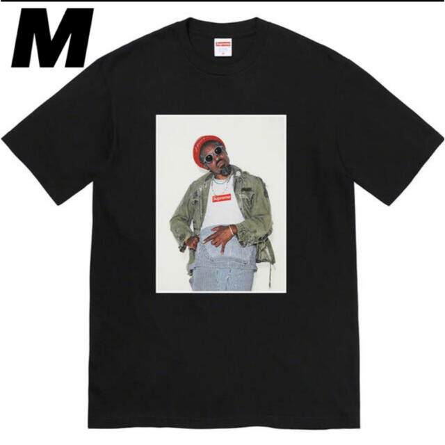 Supreme Andre 3000 Tee  tシャツ