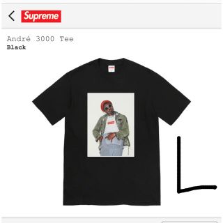 シュプリーム(Supreme)のsupreme andre 3000 tee Lサイズ(Tシャツ/カットソー(半袖/袖なし))