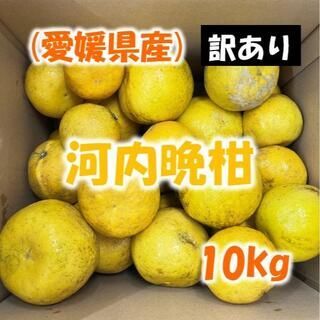 【訳あり】 河内晩柑（みしょうゴールド）10kg(フルーツ)