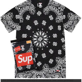 supreme(Tシャツ/カットソー(半袖/袖なし))