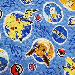 ポケモン(ポケモン)の大判はぎれポケモン青リップル生地ピカチュウイーブイ🎵移動ポケットミニ巾着にも(生地/糸)