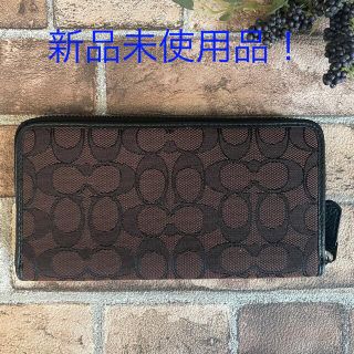 早い者勝ち！完売品！ほぼ未使用！COACH ベアシリーズ 長財布♪