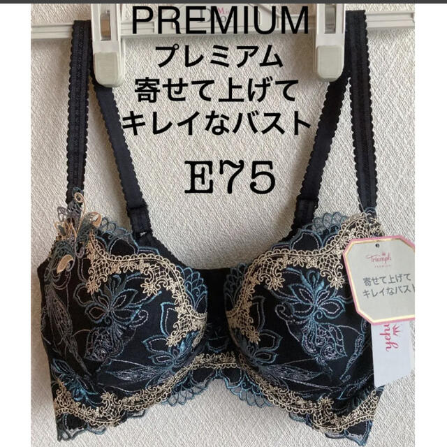 【新品タグ付】triumph★PREMIUMプレミアムE75（定価¥7,700）
