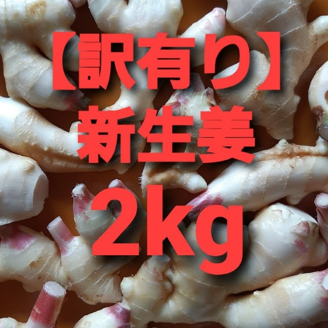 農家直送【訳有り】新生姜　2kg 食品/飲料/酒の食品(野菜)の商品写真