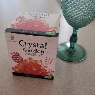 Crystal Garden 育てるクリスタル 夏休み自由研究(インテリア雑貨)