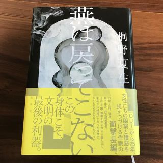 燕は戻ってこない(文学/小説)