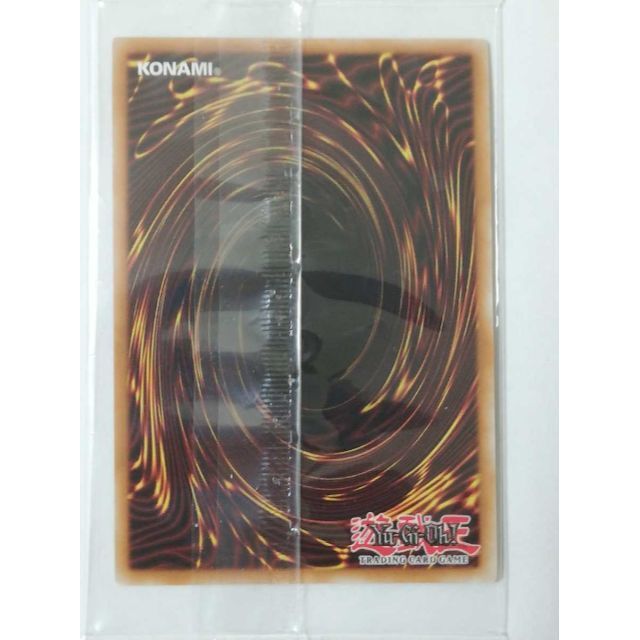 遊戯王 - 遊戯王 wcs2020 天元の荒鷲王 プロモ 店舗代表 wcs 荒鷲王