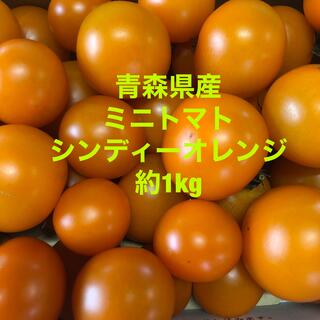 シンディーオレンジ(野菜)