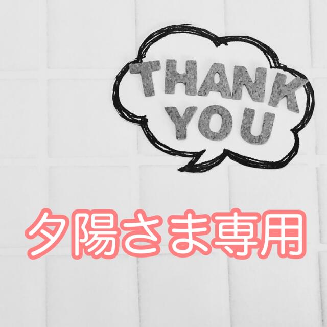 ホルミーシーツ　2個セット
